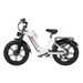 Nathaniel SYR08 Dual Motor Electric Bike – 48V 20Ah Removable Battery_desvips.com