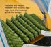 XPE Nap Moisture-proof Mat, Outdoor Single-person Foldable Aluminum Film For Hiking And Camping, Portable Egg Nest Mat_desvips.com