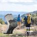 Men's Merino Wool Moisture Wicking Outdoor Thicken Warm Hiking Heavy Cushion Quarter Socks 4 Pairs Euro Size 43-46_desvips.com