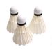 Cross-border Durable Training Adults, Suitable For Indoor Outdoor Entertainment And Competition, Wholesale Badminton_desvips.com