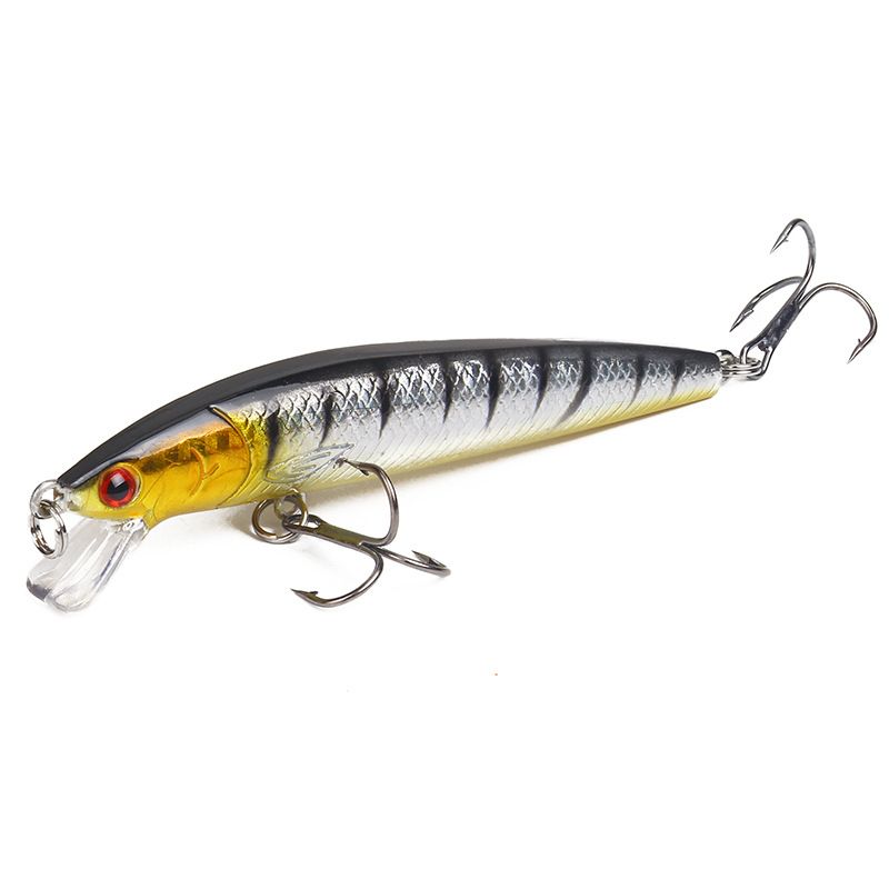 Luya Bait Minnow Bait 10cm/9g Floating Ring Bead Simulation Bait Hard Bait Bait Bait Bait Bait Bait Bait Fishing Gear Products_desvips.com