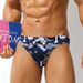 Wholesale Supply Of Men's Triangle Swim Briefs, Sexy Bikini With Anti-embarrassment And Anti-exposure Features, Beach_desvips.com