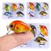 5Pcs/Set Mini Crankbait Kit 1.5g/3cm Fishing Lure Wobblers Small Artificial Floating Hard Bait Fishing Tackle With Box Pesca_desvips.com