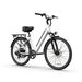 URLIFE E26 Urban Commuting Electric Bike 250W Motor 36V 13Ah Battery_desvips.com
