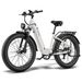 FAFREES F26 ROVER Electric Bike 48V 20AH Battery 250W Motor_desvips.com