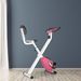 HOMCOM Folding Fitness Bike Indoor Bike 8 Levels Magnetic Resistance_desvips.com