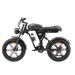 SINOHON AB20 Off-Road Electric Fat Bike With 48V 18Ah Removable Battery_desvips.com