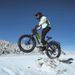Cyrusher Ranger 2.0 Electric Bike For Adults 26inch-tire 250W Motor 52V 20Ah Battery 9-Speed_desvips.com