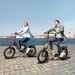 ENGWE L20 3.0 Pro Stepper Electric Bicycle 48V 15Ah Battery 250W 160km Range Full Suspension 20" Fat Tires Foldable E-bike_desvips.com