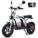 iScooter DX5 Pro Electric Scooter With Storage,52V 20Ah Battery, 17” Off-Road Tires_desvips.com