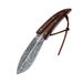 Outdoor Pocket Tactical High-hardness Sharp Small Straight Wilderness Survival Self-defense Knives,_desvips.com
