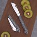 Exquisite Stainless Steel Portable Ethnic Small Travel Outdoor Pocket Folding Sharp Fruit Knife Peeler_desvips.com