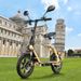 TWOFISH M5 Elite-E Electric Scooter With Seat & Rear Basket, 48V 13Ah Battery, 14" Tires_desvips.com