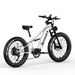 TIFGALOP ES7 City Electric Bicycle 750W 52V19AH Top Speed 32mph 26 Inch Fat Tire Mountain Off Road Electric Bike_desvips.com