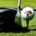 Customized Cross-border Best-selling Two-layer Golf Balls, Can Be Printed With Various Images, Multi-color Logos And Text_desvips.com