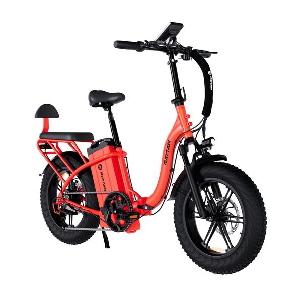 RATTAN LF ULTRA Commuter Electric Bike, 48V 40.5Ah Battery, Rear Seat_desvips.com