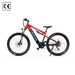 DUOTTS E29 Electric Bicycle,250W Motor 48V 13.5Ah Battery,27.5"Tire, Hydraulic Disc Brakes_desvips.com