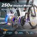 VARUN S700-2 City Commuter E-Bike, 48V 10.4Ah Battery, 250W Motor_desvips.com