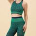 Snake Pattern Mesh High Waist Hip Lift Fitness Yoga Suit Quick Dry Breathable Running Sports Set Women_desvips.com