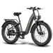FAFREES F26 ROVER Electric Bike 48V 20AH Battery 250W Motor_desvips.com