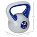 Kettlebell , Bodenschonende Kugelhantel Für Krafttraining & Fitness, Blau, Ideal Für Home Workout_desvips.com