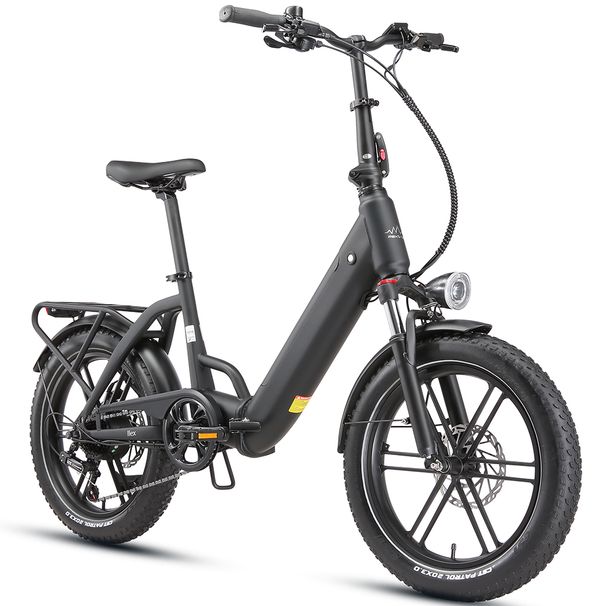 Maxtron Ilex Folding Electric Bike, 250W Motor 48V 14.4Ah Battery_desvips.com
