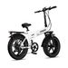 Rincc R200 Folding Electric Bike 750W 48V15Ah Battery 20inch_desvips.com