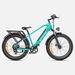 ENGWE E26 Men's E-Mountain Bike 48V 16Ah Battery 140km Range Hydraulic Brakes 26"×4.0 Fat Tires Adult Electric Bicycle_desvips.com