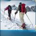 Double Board Snowball Fight Adjustable Multifunctional Aluminum Alloy Walking Adult And Child Universal Equipment_desvips.com