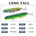 Lua Long Cast Surface Bait Bait Gear Bait_desvips.com