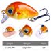 5Pcs/Set Mini Crankbait Kit 1.5g/3cm Fishing Lure Wobblers Small Artificial Floating Hard Bait Fishing Tackle With Box Pesca_desvips.com