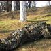 Three Dimensional Leaf Suit 3D Leaf Camouflage Suit Maple Leaf Camouflage Suit Hunting Suit Leaf Suit Personalized Suit_desvips.com