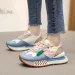 spring Thick Soled Daddy Mesh Cloth Breathable Forrest Gump Student Sports Casual Board Shoes Women 240708_desvips.com