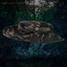 Men's Summer Sun Hat, Hiking Sunshade Fisherman Hat, Sports Outdoor Cycling Sunscreen Cap, Camo Hat_desvips.com