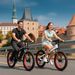 48V Lithium Battery 26 Inch Full Suspension Electric Mountain Bike Fat Tire Folding Aluminum Alloy Rear Hub Brushless For Adults_desvips.com
