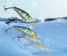 Slow-sinking Minnow Lure With Sound Beads, Complete Set Of Floating Lures Long-distance Casting, Specifically For Fish,_desvips.com