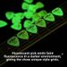 Electric Anti-Slip Folk Professional Grade ABS Alice Celluloid Matte Acoustic Guitar Picks_desvips.com