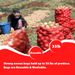 Mesh Onion Bags For Onion And Potato Storage, Produce Storage Bags_desvips.com