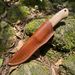 Nordic-style Handmade Knife With 440C Blade, Hand-picked Walnut Wood Handle, Top-layer Cowhide Sheath, Cross-border_desvips.com