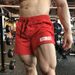 Summer Sports Brother Quick Dried 3/4 Shorts Men's Elastic Iron Gym Fitness Muscle Training Hot Pants_desvips.com