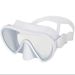 Adult One-Piece Snorkeling Mask With HD Tempered Glass Goggles Professional Diving Gear_desvips.com