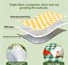 Thickened Color Film Camping Outdoor Picnic Cloth Lawn Ground Mat Dormitory Moisture-proof Mattress_desvips.com