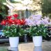 Lily Artificial Set For Dining Table And Living Room Decoration, Plastic Fake Flower Arrangement, Silk Bouquet Ornament,_desvips.com
