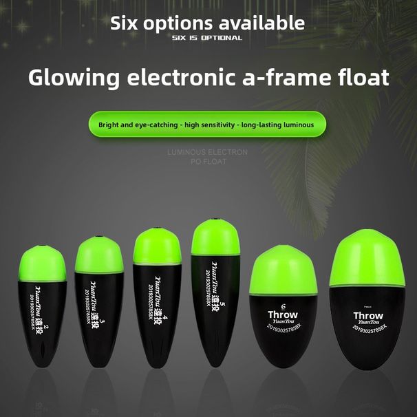 Apo Electronic Long Cast With Battery Dual Color Light Rock Sea Night Float Fishing Gear_desvips.com