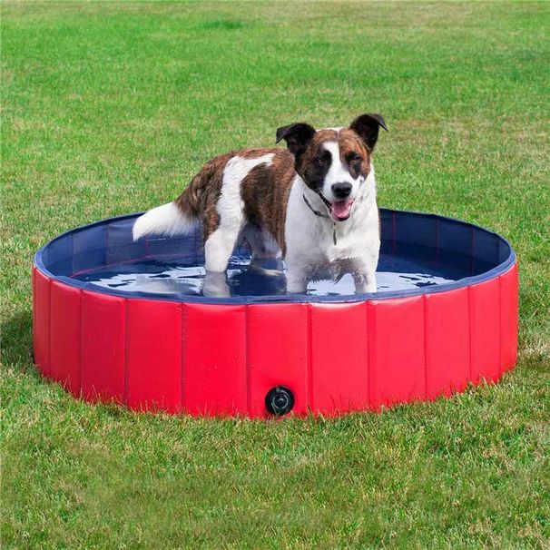 Pet Bath Tub/pool PP Hollow Board Dog Bath Basin Anti Slip Material Cat Litter Basin Thickened Wear Resistant Portable_desvips.com