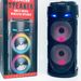 Portable Wireless Bluetooth Karaoke Speaker, Dual 4" Speakers, RGB LED Lights, Wired Mic, HiFi Stereo Bass, For Outdoor, Party, Home, Perfect Gift_desvips.com