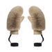 001 Winter New Women, Windproof, Cold-Proof, Warm, Fleece-Lined, Cross-Border Trade, Plush Ski Gloves For Ladies_desvips.com