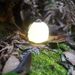 Portable Mini Camping Lantern - Rechargeable LED Squeeze Silicone Night Light, Egg-Shaped Picnic Lamp With Cozy Ambience For Outdoor, Tent, Bedroom &_desvips.com