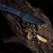 Sanrenmu -9204.999999999% Off Stackable Outdoor Fashionable Pocket Daily Household Knife Lightweight And Portable_desvips.com