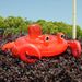 Kids' Inflatable Crab Swim Ring - Durable Pvc Leather, Perfect For Ages 3-6, Summer Pool Fun_desvips.com